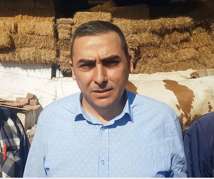 Kula’da İthal Gebe Düveler Üreticilere Teslim Edildi G2