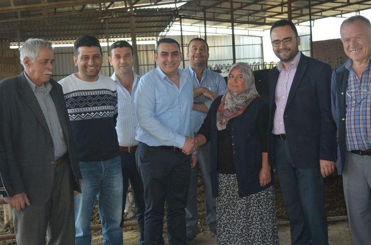 Kula’da İthal Gebe Düveler Üreticilere Teslim Edildi G5