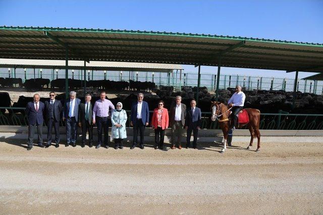 Tbmm Tarım, Orman Ve Köyişleri Komisyonu Karaman Ve Konya’da