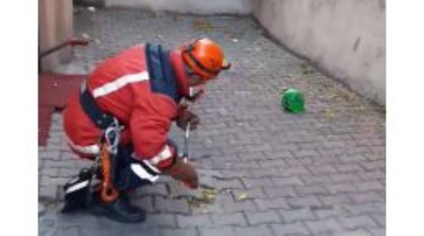 İtfaiyeden Zehirli Yılan Operasyonu