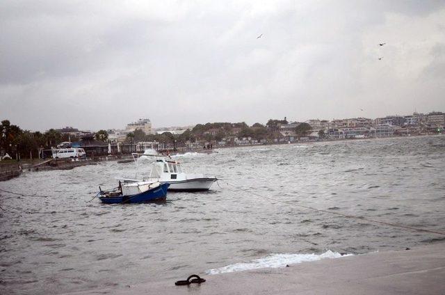 Sağanak Yağış Didim’de Hayatı Olumsuz Etkiledi