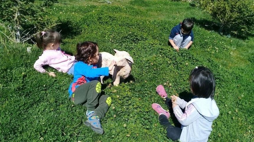 Neşeli Minikler Doğal Yaşamı G&ouml;rd&uuml;ler