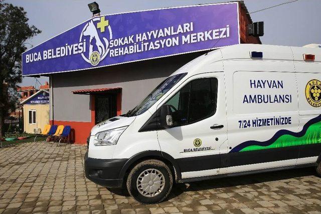 Sokak Hayvanlarına Y&uuml;zde 100 Destek 1