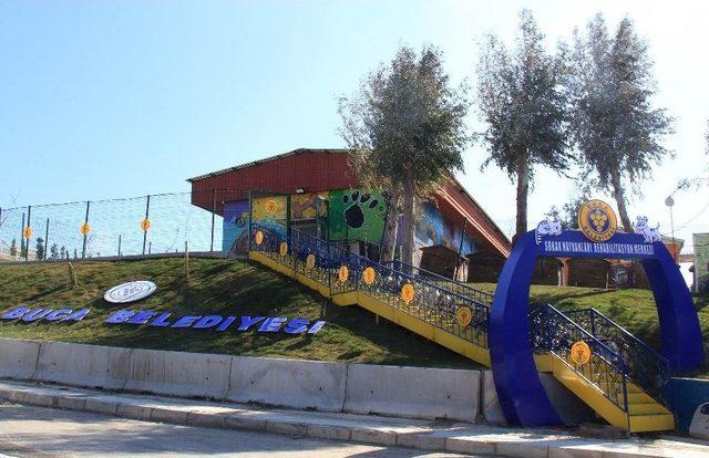 Sokak Hayvanlarına Y&uuml;zde 100 Destek 2