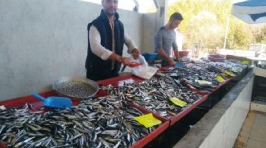 Balık Bollaştı, Fiyatlar D&uuml;şt&uuml;