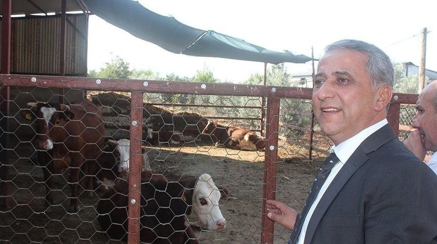 Osmaniye&rsquo;de 159 Gen&ccedil; &Ccedil;ift&ccedil;i Hibe Desteğinden Yararlandı