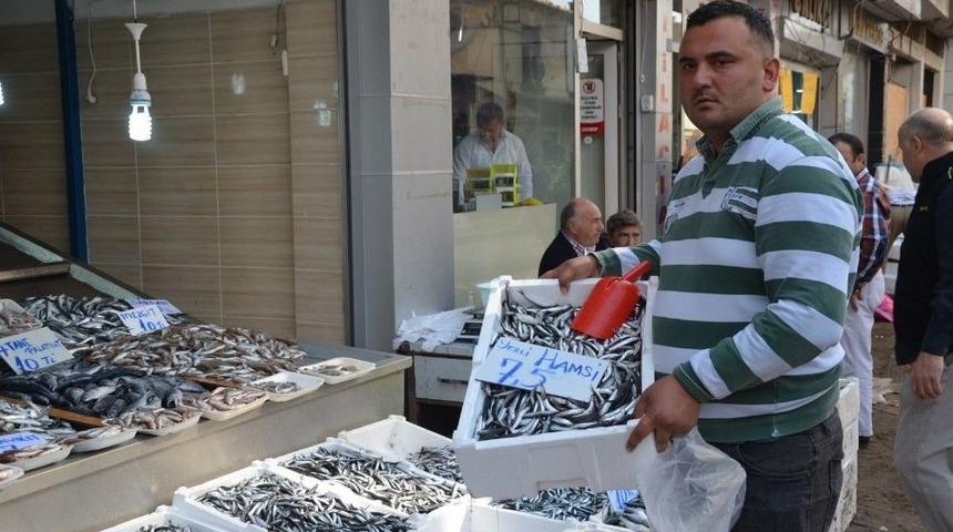 Hamsinin Fiyatı D&uuml;ş&uuml;şe Ge&ccedil;ti