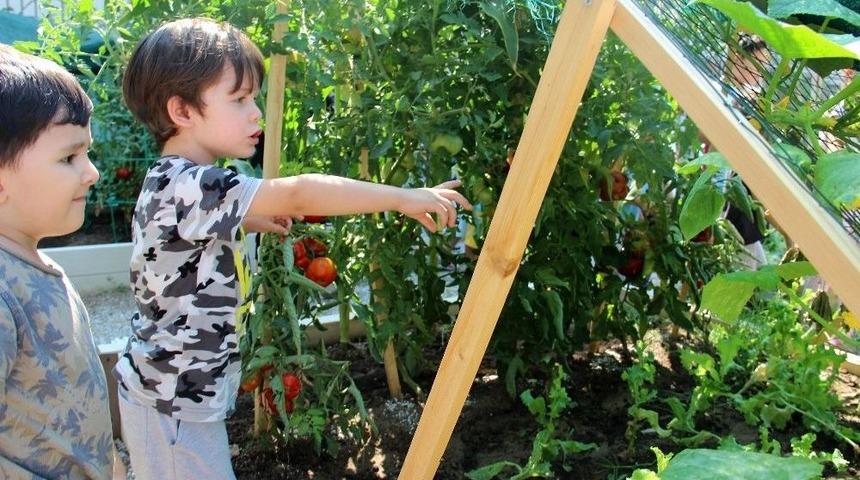 &Ccedil;ankaya&rsquo;da Kent Tarımı Yaygınlaşıyor