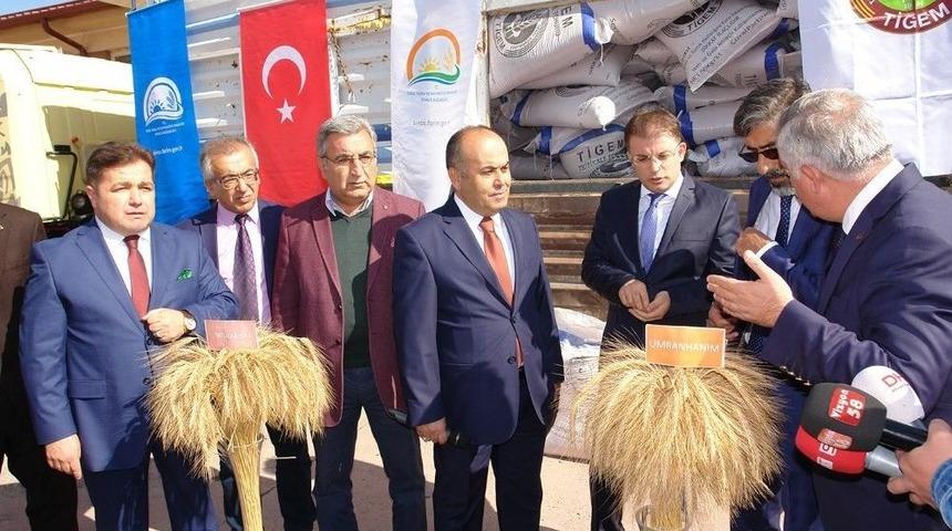 Dap İdaresi&rsquo;nin Desteğiyle 300 Ton Yem Bitkisi Tohumu Dağıtıldı