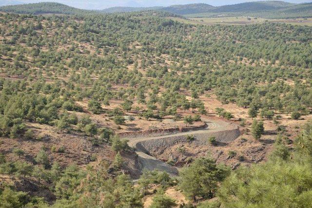 Yangınlara Erken Müdahale İçin Yeni Orman Yolları Yapıldı