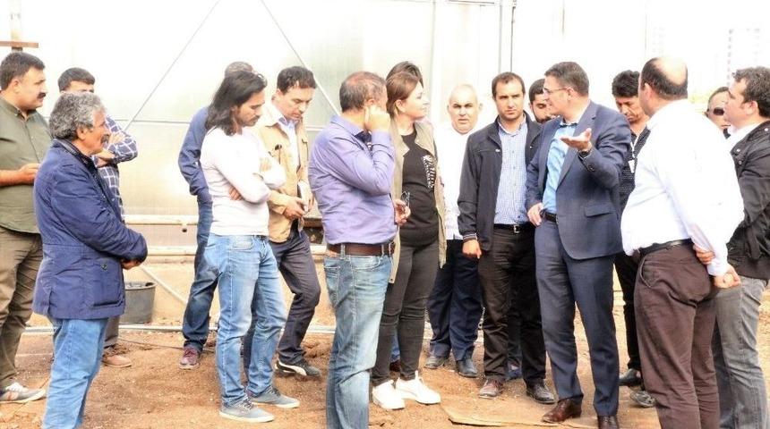 Kayapınar&rsquo;da 500 Bin Fidan Ve 2 Milyon Mevsimlik &Ccedil;i&ccedil;ek &Uuml;retecek