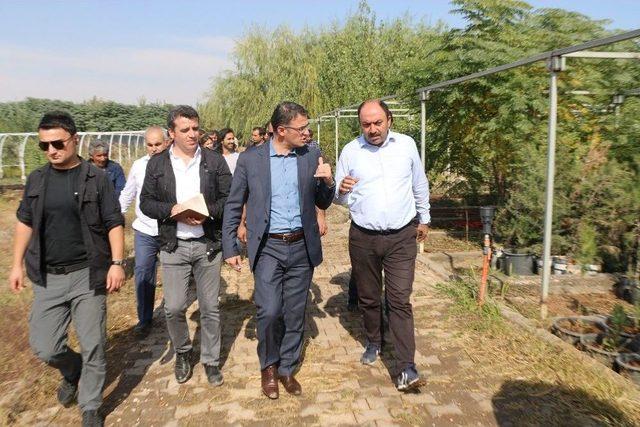 Kayapınar&rsquo;da 500 Bin Fidan Ve 2 Milyon Mevsimlik &Ccedil;i&ccedil;ek &Uuml;retecek 1