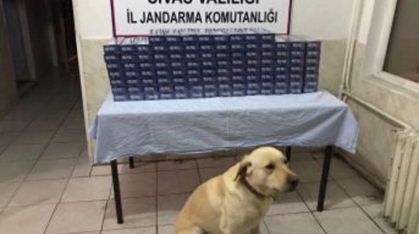 Altı Kişi Hakkında Ka&ccedil;ak&ccedil;ılığıktan İşlem Yapıldı.