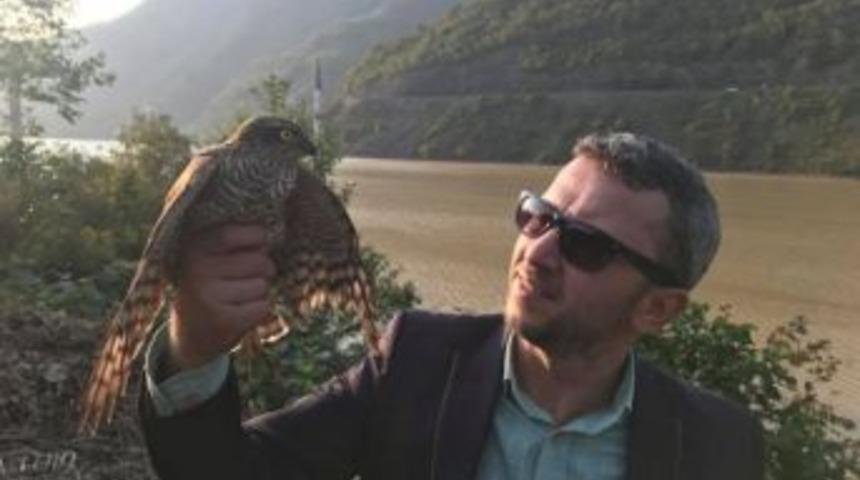 Artvin’de Yaralı Atmaca Tedavisinin Ardından Doğaya Bırakıldı