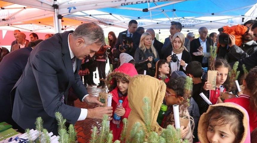 K&uuml;&ccedil;&uuml;k&ccedil;ekmece&rsquo;ye İğde Ağa&ccedil;ları Dikildi