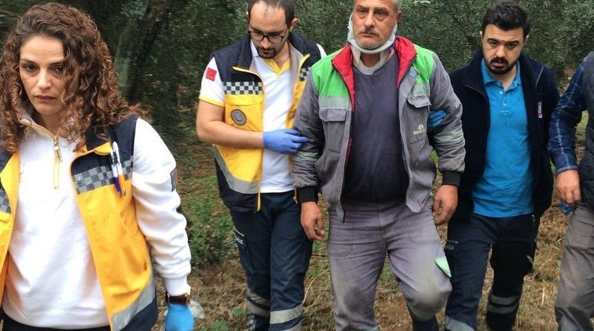 Virajı Alamayan Tır Zeytin Ağaçlarına Çarptı