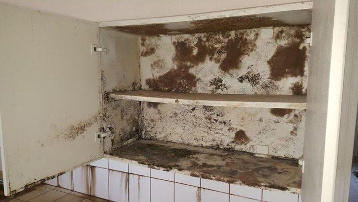 Atıl Durumdaki Sağlık Tespitleri Devem Ediyor G2