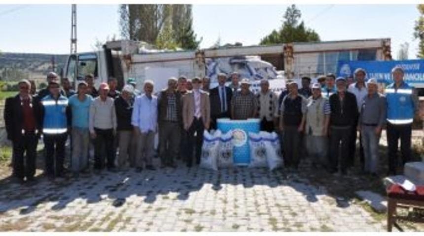 K&uuml;tahya&rsquo;da 340 &Ccedil;ift&ccedil;iye 45 Ton Macar Fiği Dağıtıldı