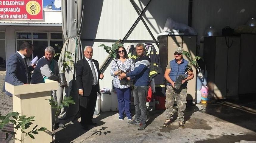 Ceviz &Uuml;reticilerine Fidan Desteği