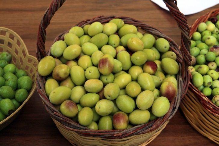 Canan Karatay: "zeytinyağı Hastalıkları Önlüyor" G2