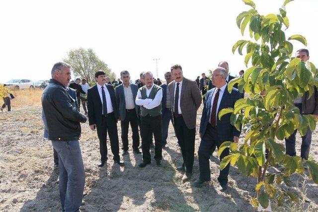 Odü Rektörü Yarılgaç, Ceviz Çalıştayına Katıldı