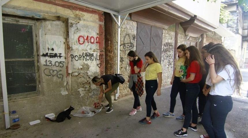 Harçlıklarıyla Sokak Hayvanlarını Beslediler