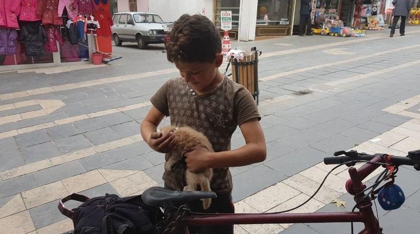 Suriyeli Musa&rsquo;nın Hayvan Sevgisi G&ouml;renleri Hayran Bırakıyor