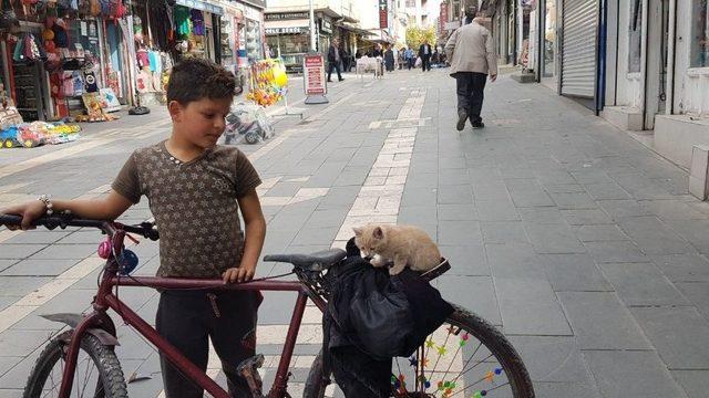 Suriyeli Musa’nın Hayvan Sevgisi Görenleri Hayran Bırakıyor