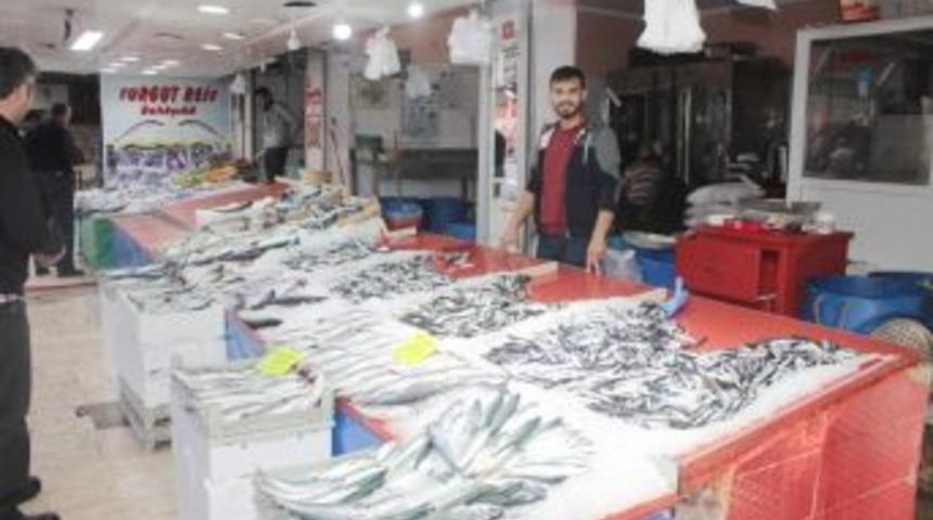 Balık Tezgahları Balık &Ccedil;eşitleri İle Doldu