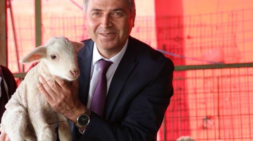 &lsquo;halk Elinde Islah Projesi&rsquo; Meyvelerini Veriyor