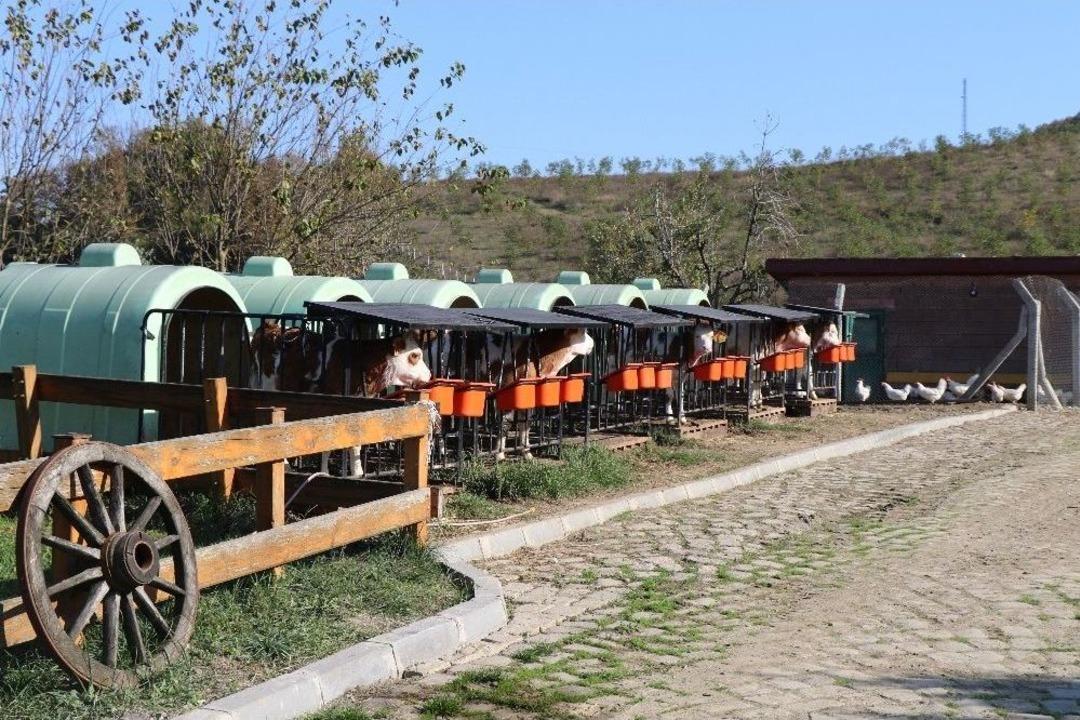 (&ouml;zel Haber) 23 Yıllık Biyoloji &Ouml;ğretmeni, Hayalini Kurduğu &Ccedil;iftlikte Kendi Markasını &Uuml;retti