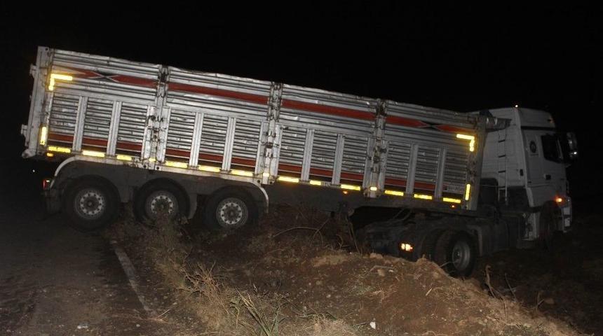 Yoldan &Ccedil;ıkıp Enginar Tarlasına İnen Tırın S&uuml;r&uuml;c&uuml;s&uuml; Hastaneye Kaldırıldı