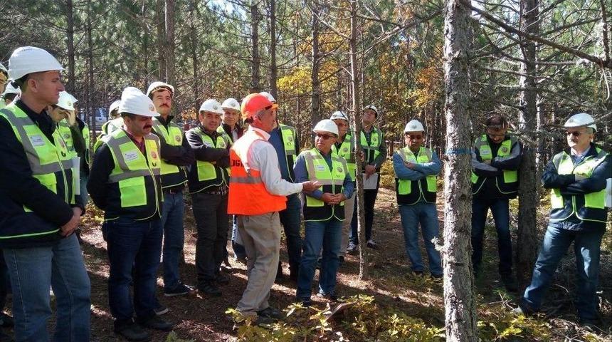Keles Ormanlarında Silvik&uuml;lt&uuml;r Tatbikatı