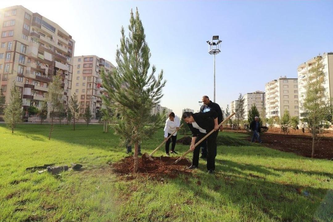 Başkan Akat Ağa&ccedil; Dikimine Katıldı
