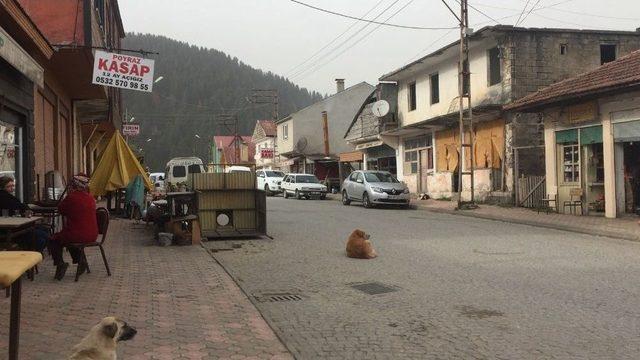 Aç Kalınca Yakayı Ele Vermiş