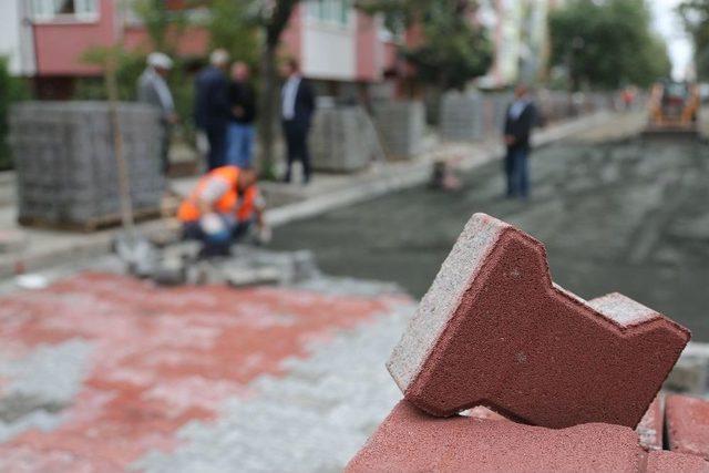 Başkan Taşçı, Yol Çalışmalarına Hız Verdi