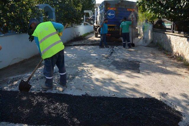 Kartepe’de Çevre Düzenleme Ve Onarım Çalışmalarını Sürdürüyor