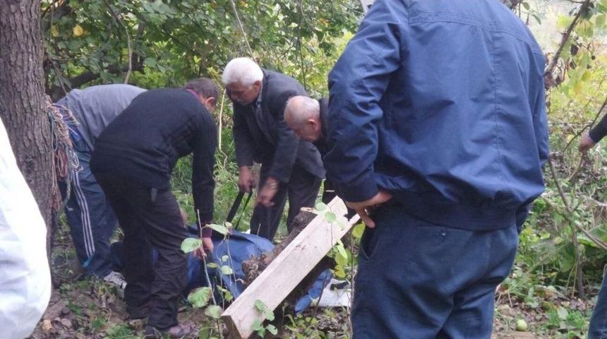 Armut Ağacından D&uuml;şen Şahıs &Ouml;ld&uuml;