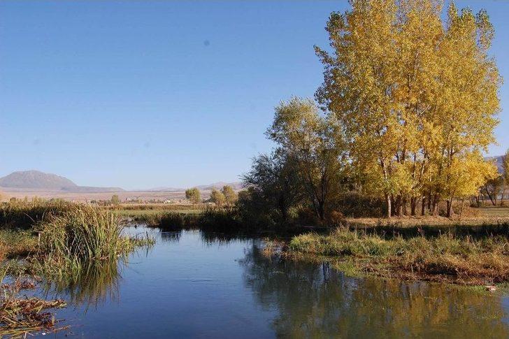 Uluslararası İlişkiler Mezunu Balıkçı G1