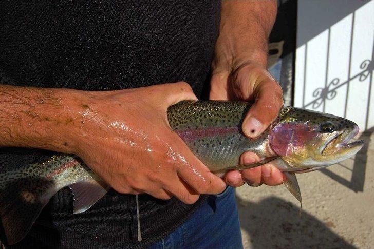 Uluslararası İlişkiler Mezunu Balıkçı G3
