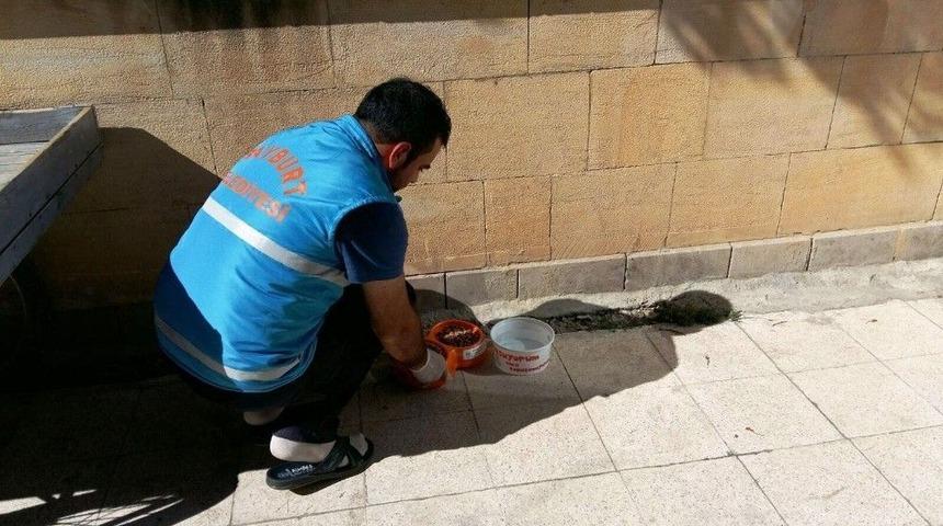 Yaban Hayatı Unutulmuyor