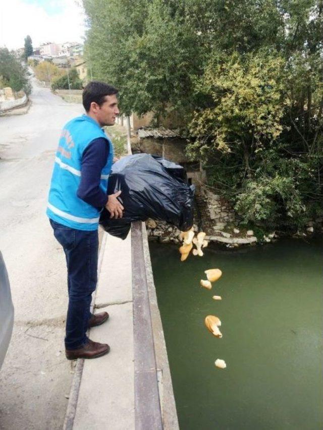 Yaban Hayatı Unutulmuyor