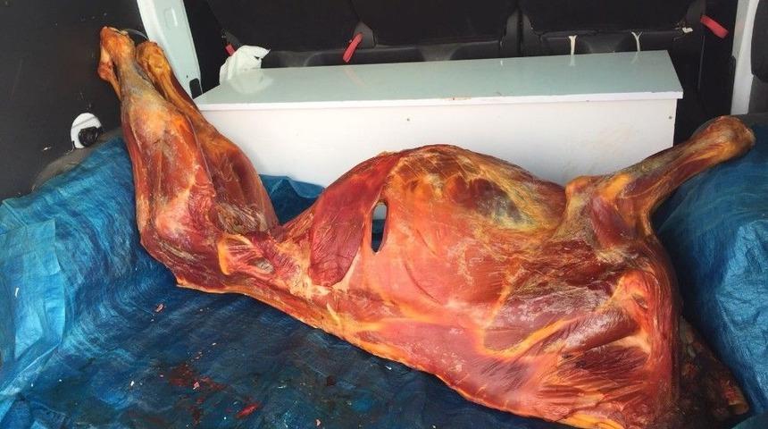 Zabıtadan Ka&ccedil;ak Et Operasyonu