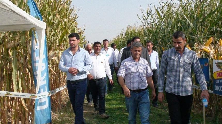 Kızıltepe&rsquo;de Mısır Festivali Başladı