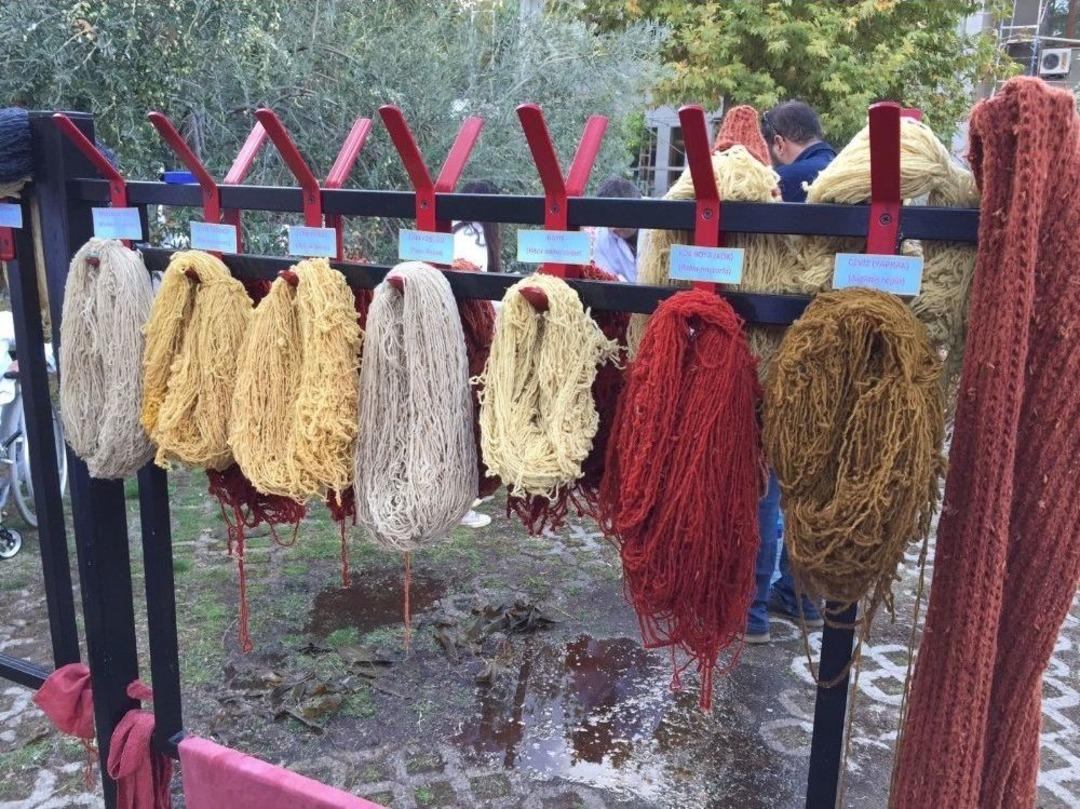 &Uuml;niversite Kansere Savaş A&ccedil;tı