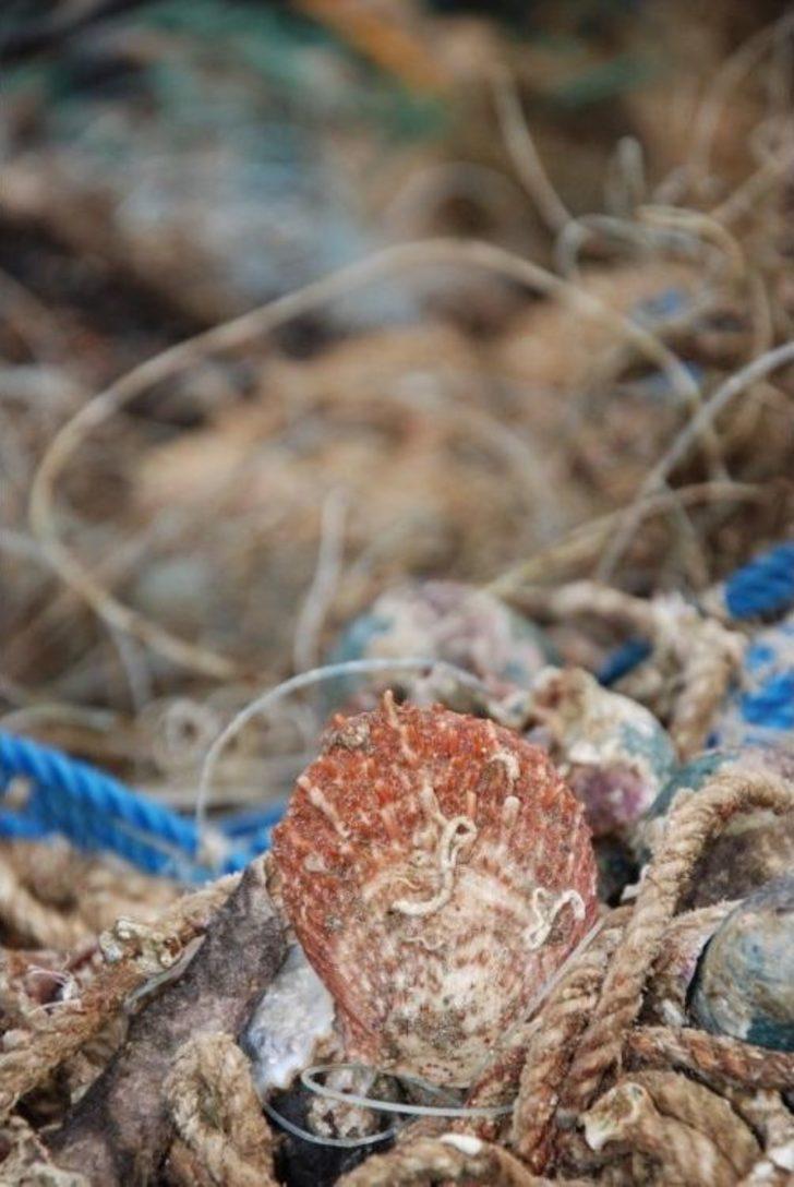 Denizler Terk Edilmiş Av Araçlarından Temizlendi G5