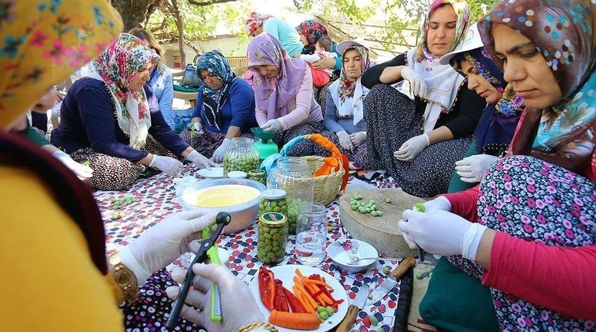Osmaniye&rsquo;de Kadınlara Zeytin İşleme Kursu