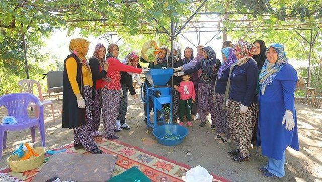 Osmaniye’de Kadınlara Zeytin İşleme Kursu