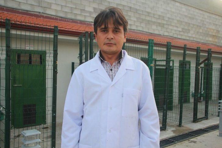 Aç Kalıp Şehre İnen Tilkiye Araç Çarptı G5