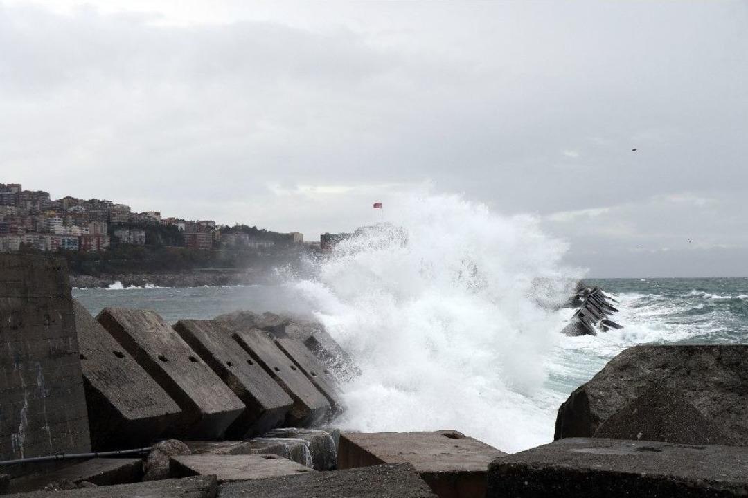 Havanın Soğumasıyla Tezgahlarda Hamsi Bolluğu Yaşanıyor